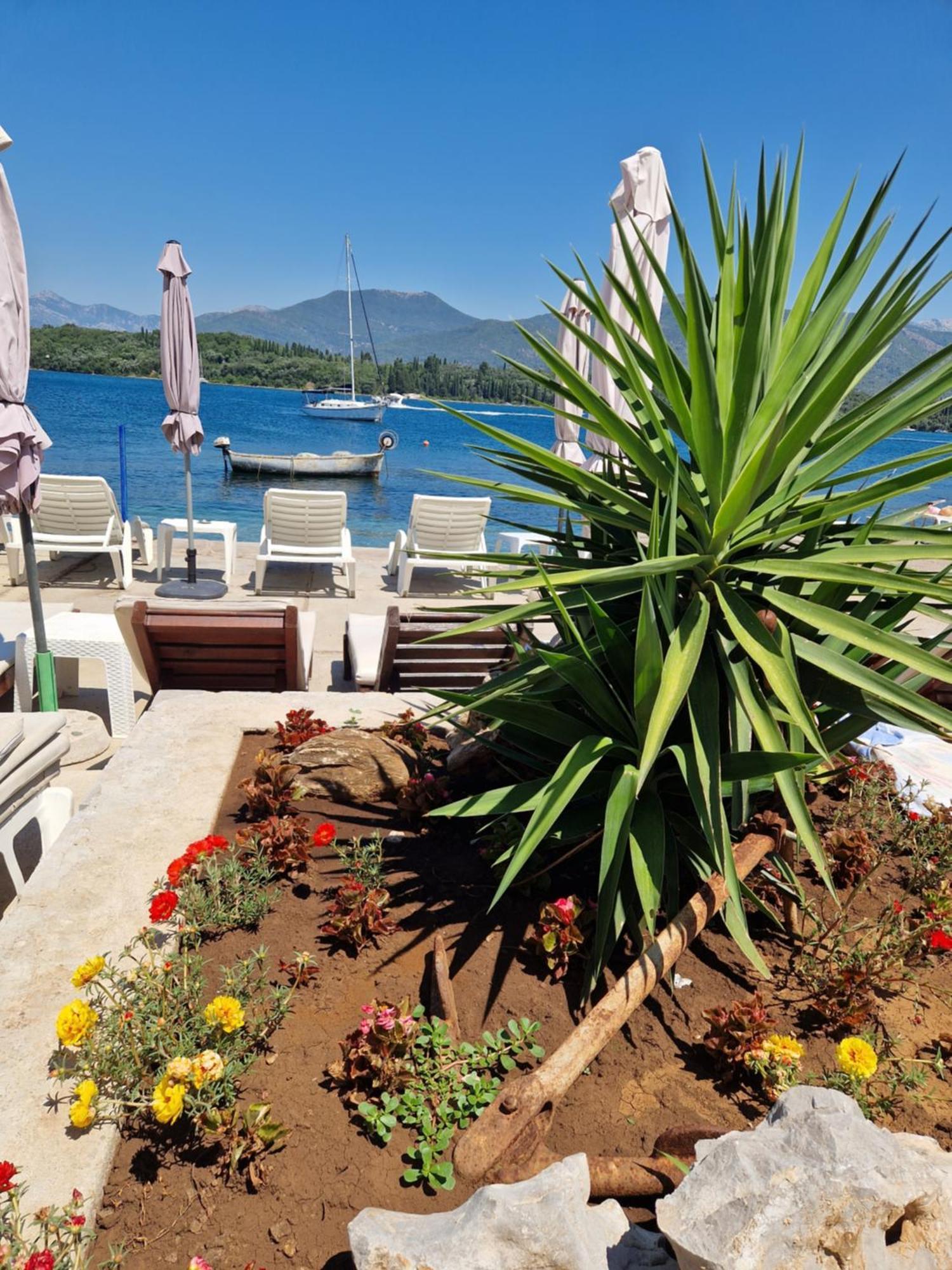 Franovic Apartments Tivat Bagian luar foto